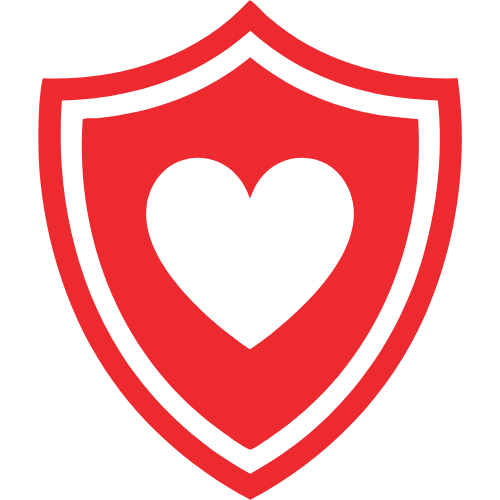 Shield Icon